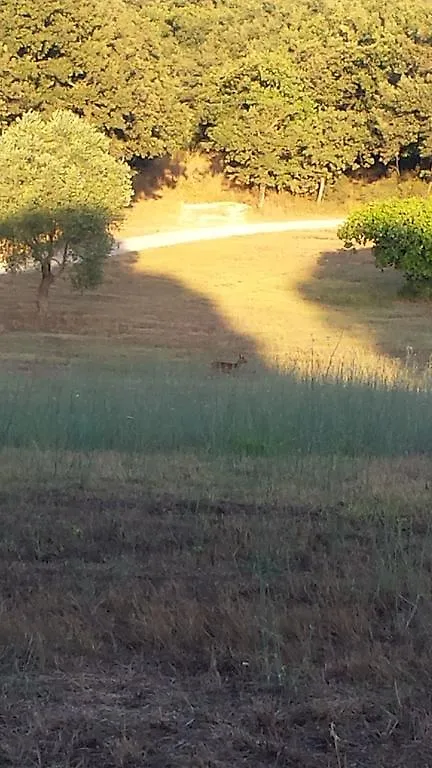 Villa Agriturismo Bronzivalle à Riotorto